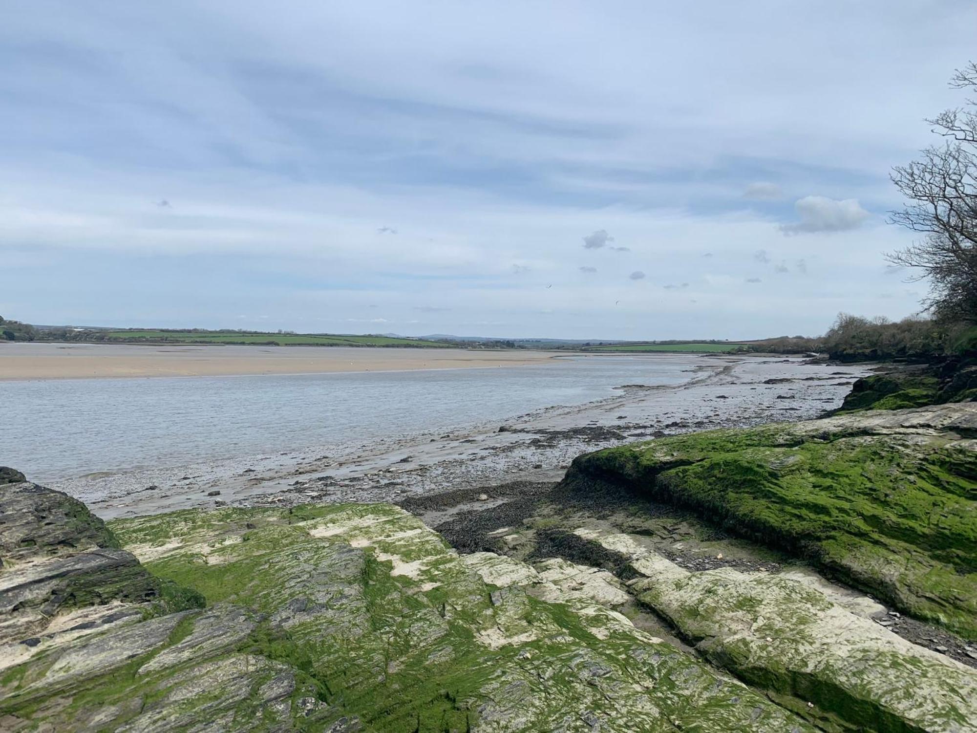 The Hannexe Wadebridge Exterior photo